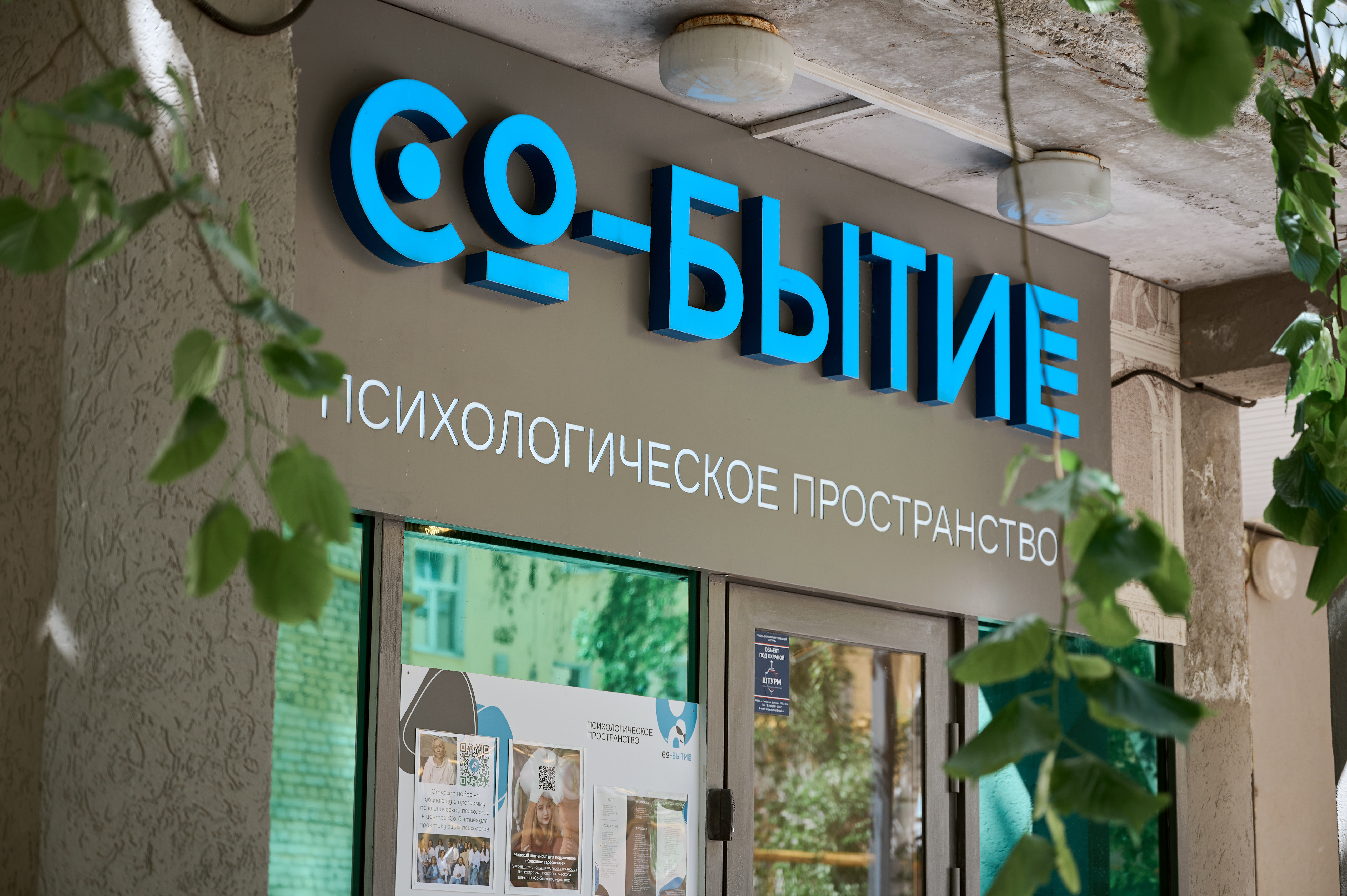 Интеграции в организацию